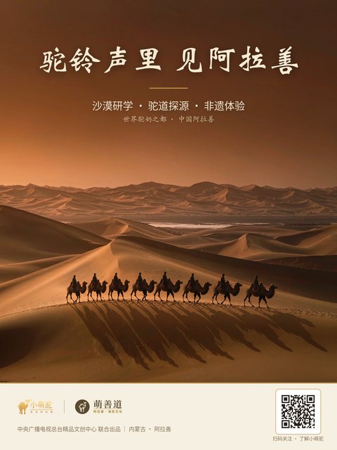 驼铃声里 · 大漠文旅海报